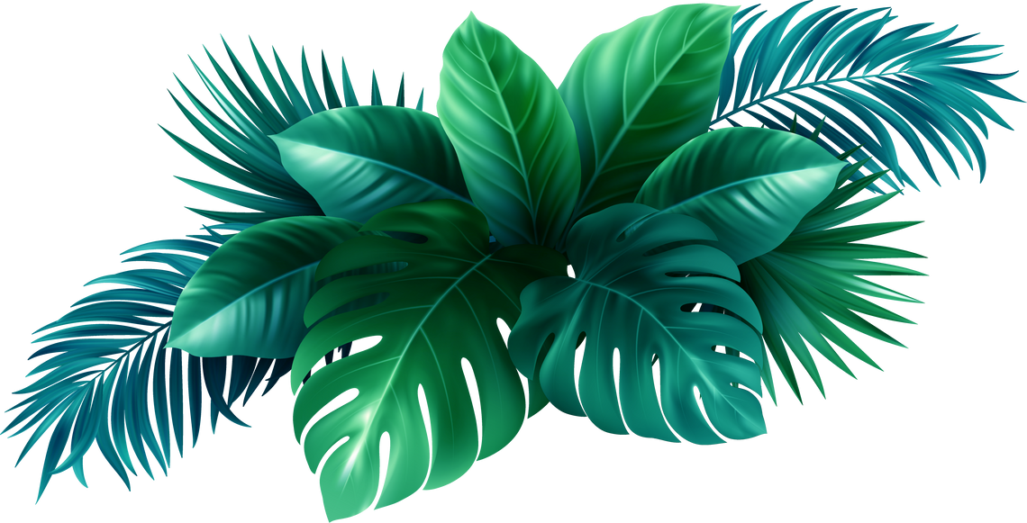 tropical leaves